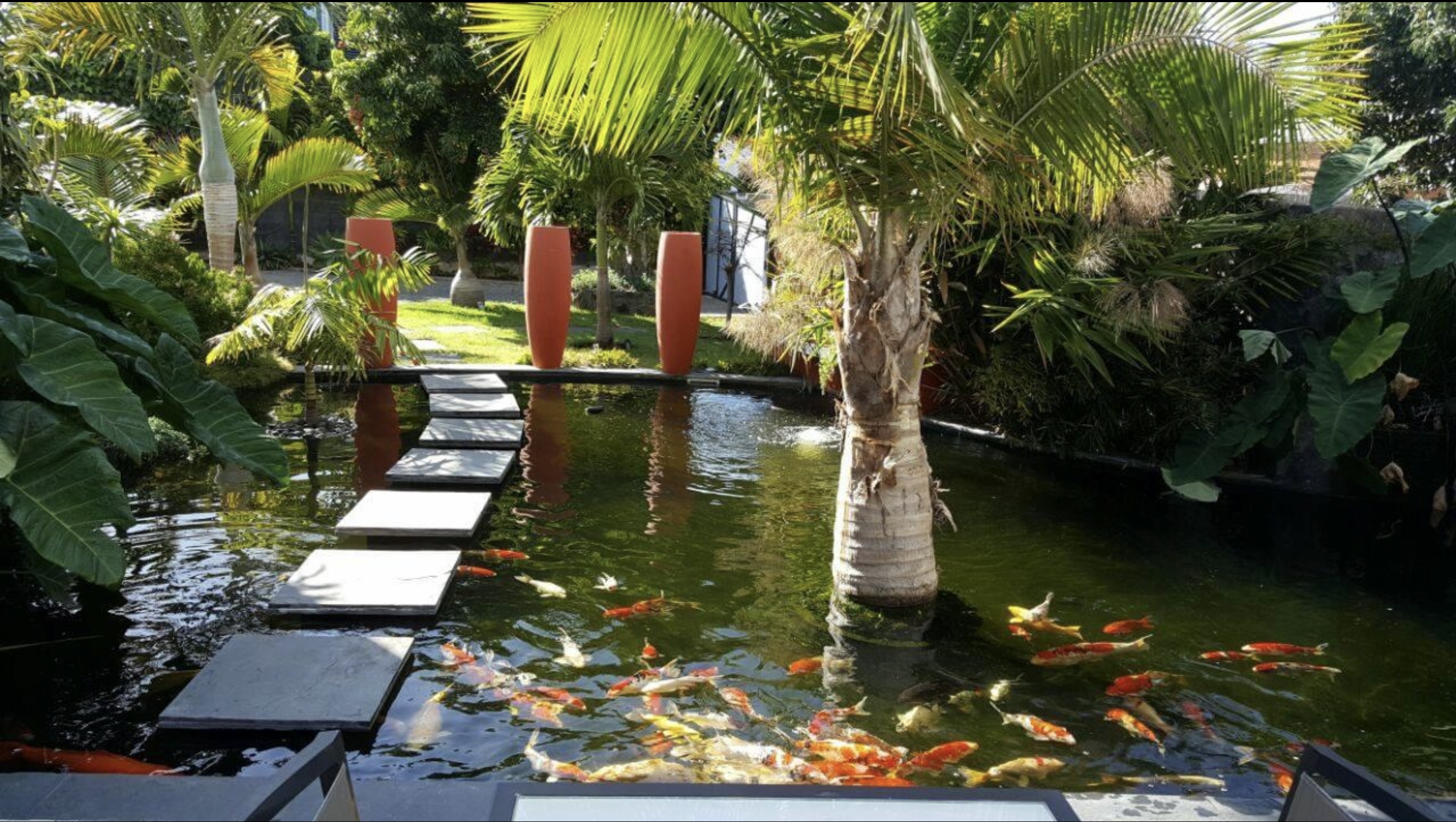 Une de nos realisation de bassin chez un client